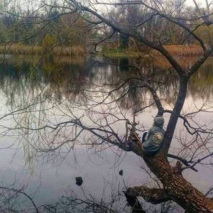 Meet your Posher, Alanna